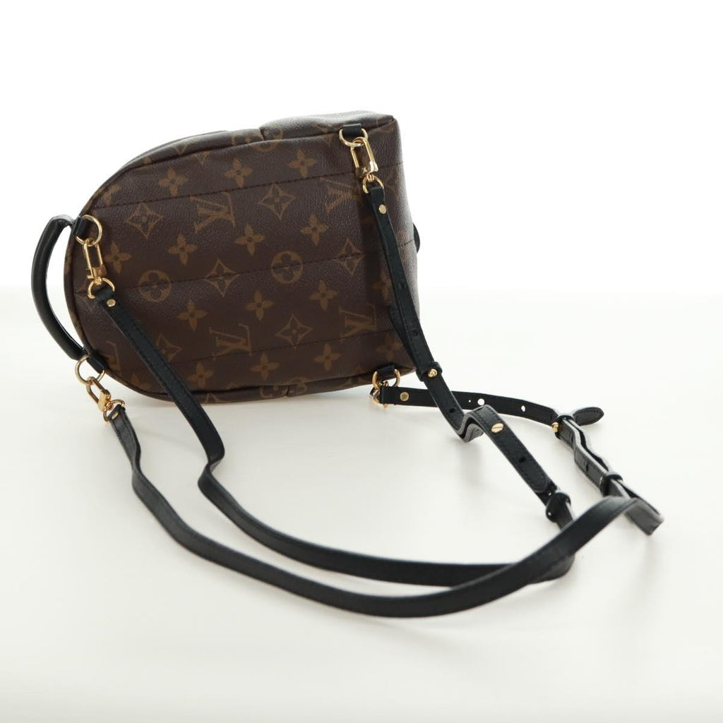 Louis Vuitton Palm Springs Backpack Limited Edition World Tour Monogram Canvas Brown Canvas Backpack Bag (Pre-Owned)