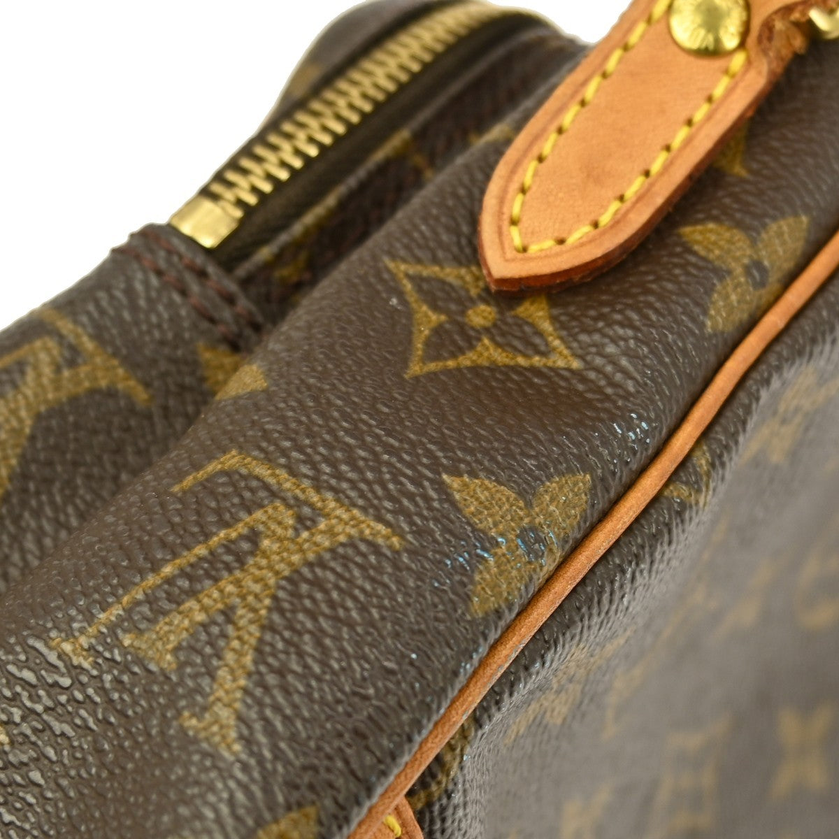 Louis Vuitton Amazone Bag Monogram Canvas Brown Canvas Shoulder Bag Bag (Pre-Owned)