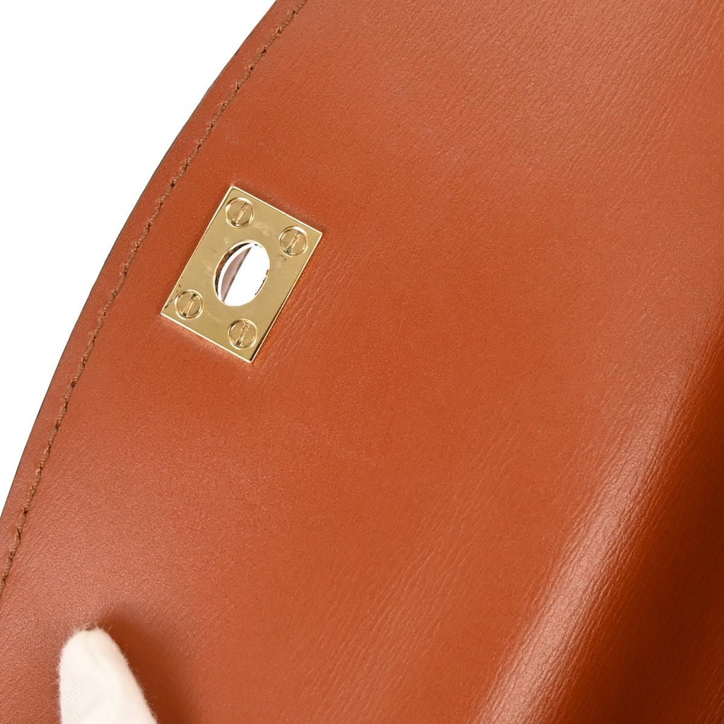 Louis Vuitton Malesherbes Handbag Epi Leather Brown Leather Handbag (Pre-Owned)
