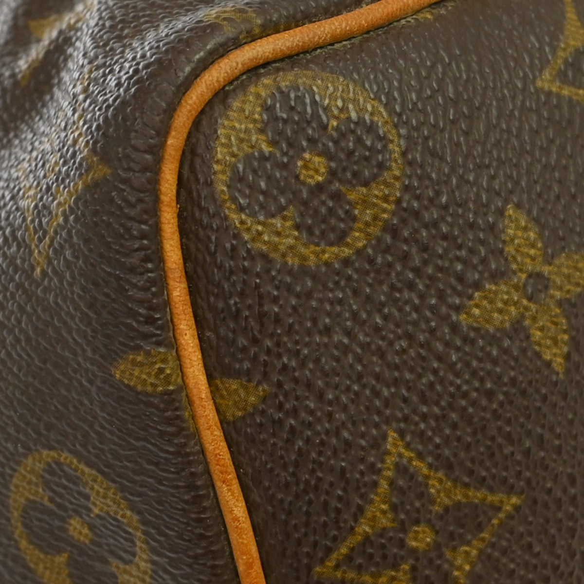 Louis Vuitton Speedy Handbag Monogram Canvas Brown Canvas Handbag (Pre-Owned)