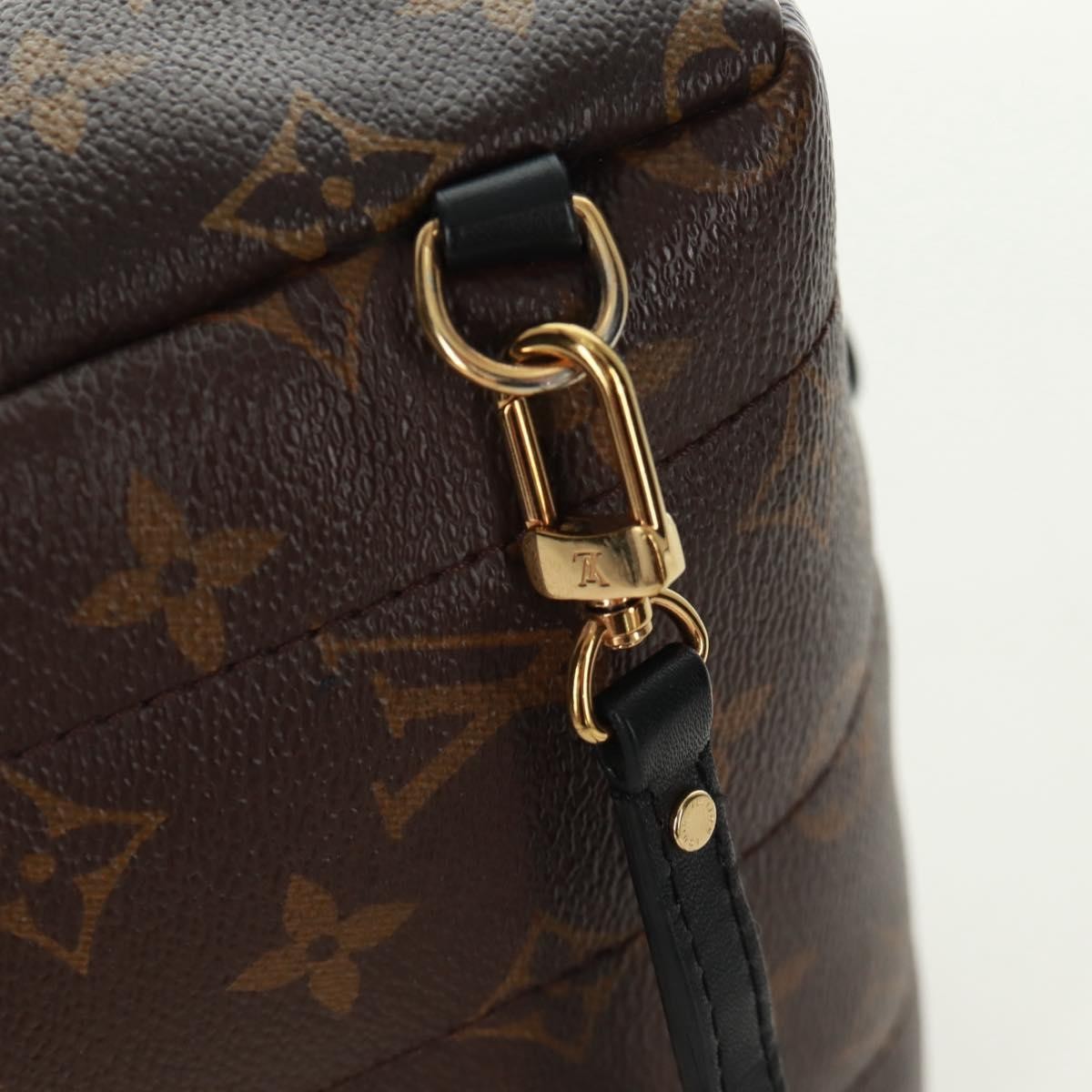 Louis Vuitton Palm Springs Backpack Limited Edition World Tour Monogram Canvas Brown Canvas Backpack Bag (Pre-Owned)