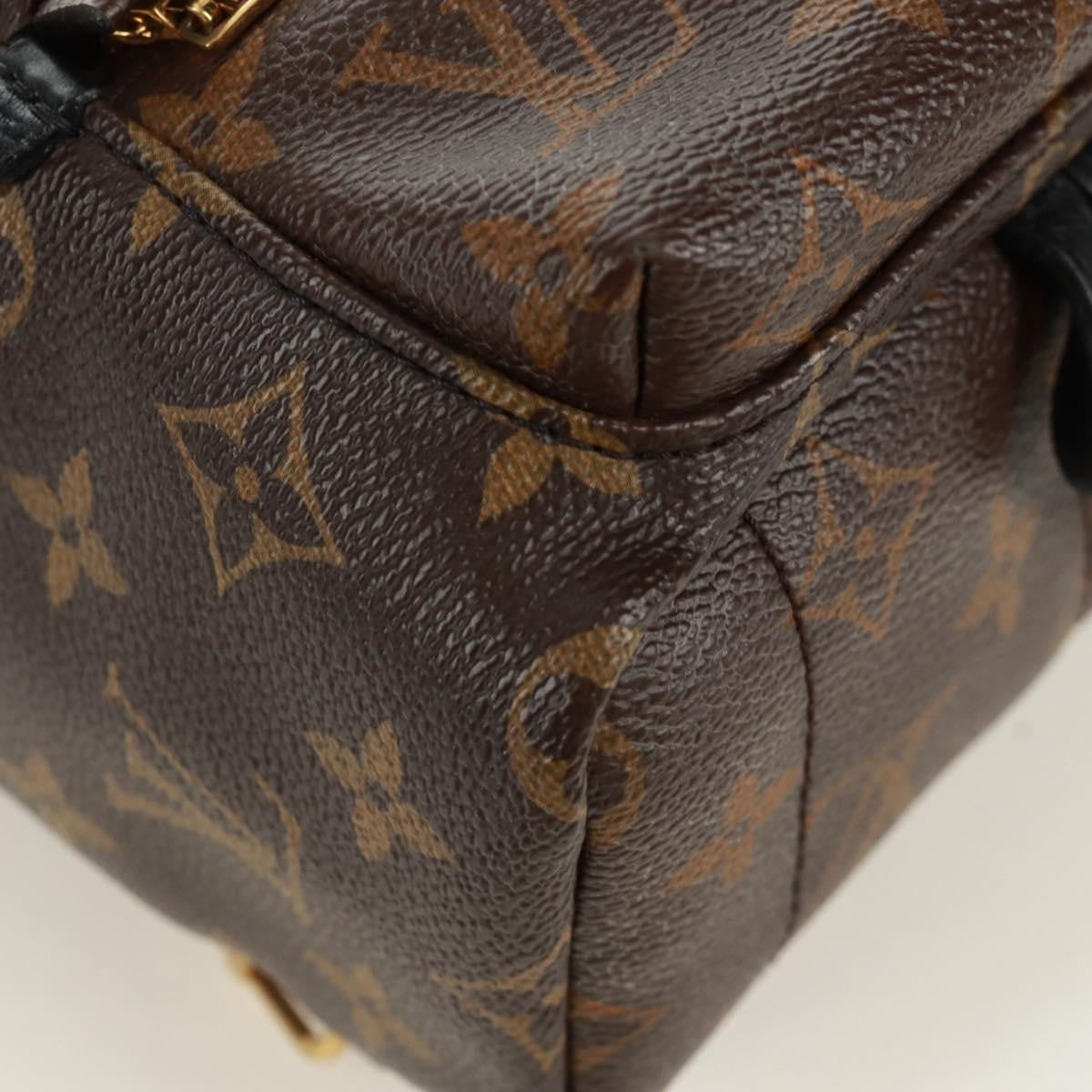 Louis Vuitton Palm Springs Backpack Limited Edition World Tour Monogram Canvas Brown Canvas Backpack Bag (Pre-Owned)