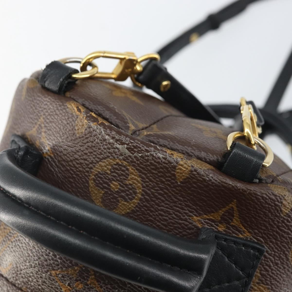 Louis Vuitton Palm Springs Backpack Monogram Canvas Brown Canvas Backpack Bag (Pre-Owned)