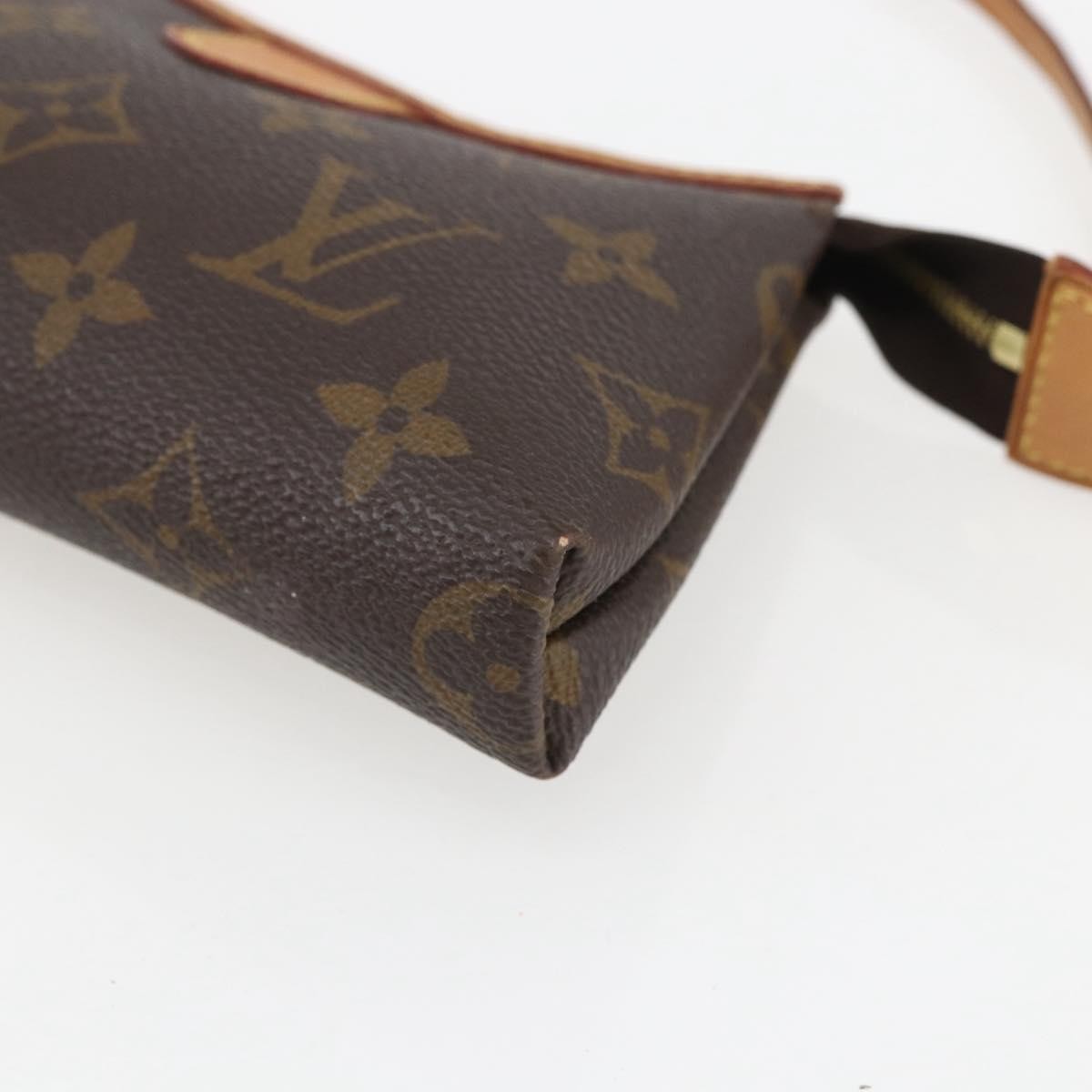Louis Vuitton Delightful Pochette Monogram Canvas Brown Canvas Clutche & Pouche Bag (Pre-Owned)