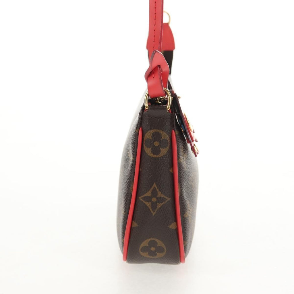 Louis Vuitton Pochette Accessoires Nm Limited Edition Totem Monogram Canvas Brown Canvas Clutche & Pouche Bag (Pre-Owned)