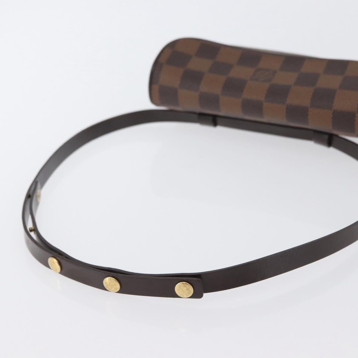 Louis Vuitton Florentine Waist Bag Monogram Canvas Brown Canvas Clutche & Pouche Bag (Pre-Owned)