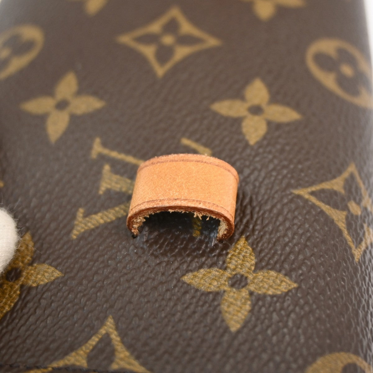 Louis Vuitton Florentine Waist Bag Monogram Canvas Brown Canvas Clutche & Pouche Bag (Pre-Owned)