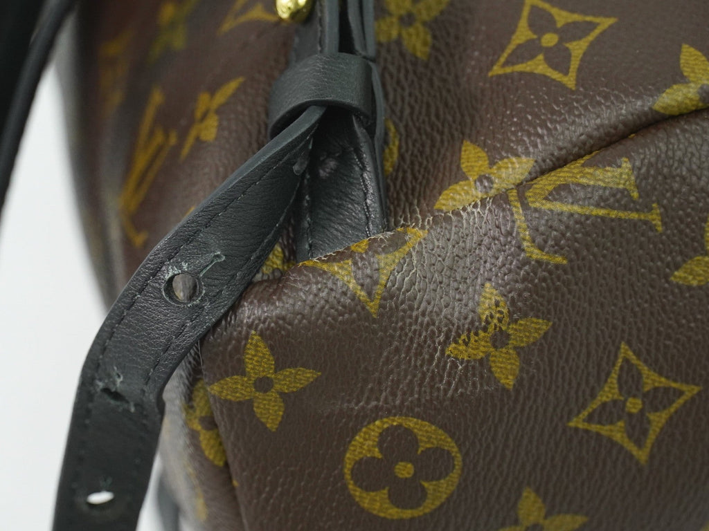 Louis Vuitton Palm Springs Backpack Monogram Canvas Brown Canvas Backpack Bag (Pre-Owned)