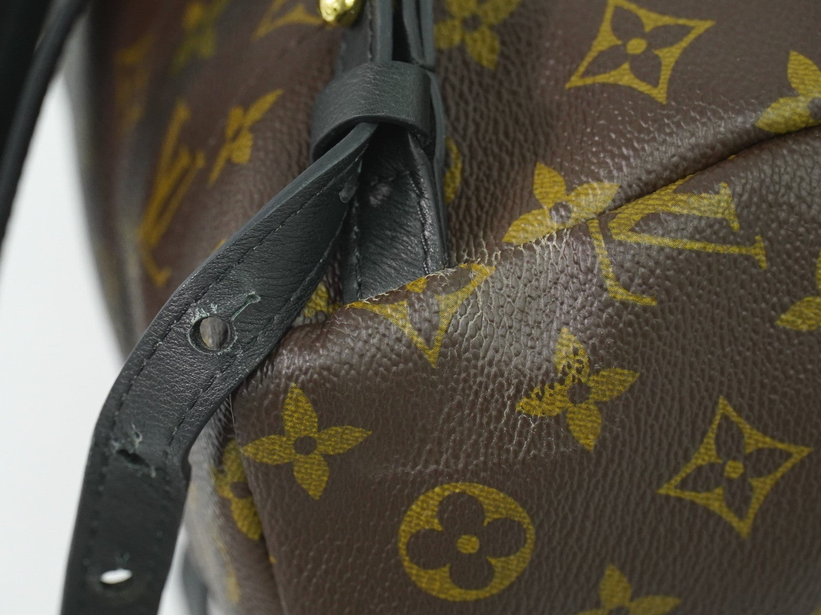 Louis Vuitton Palm Springs Backpack Monogram Canvas Brown Canvas Backpack Bag (Pre-Owned)