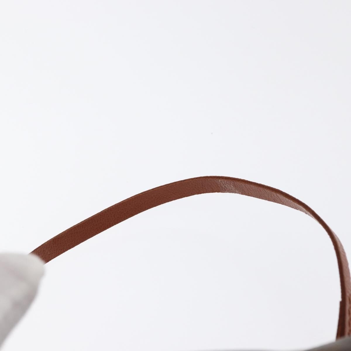 Louis Vuitton Papillon Pochette Monogram Canvas Brown Canvas Clutche & Pouche Bag (Pre-Owned)