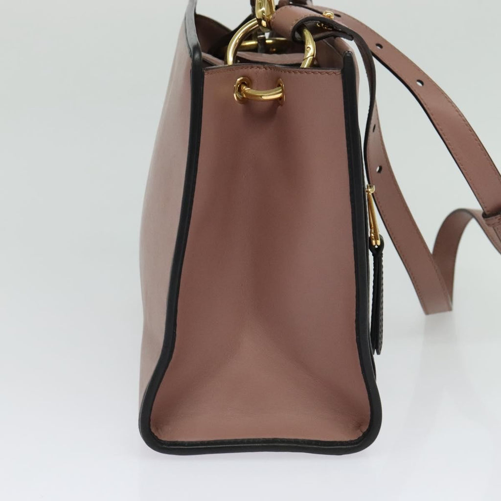 Fendi Runaway Bag Leather Pink Leather Bag (Pre-Owned)