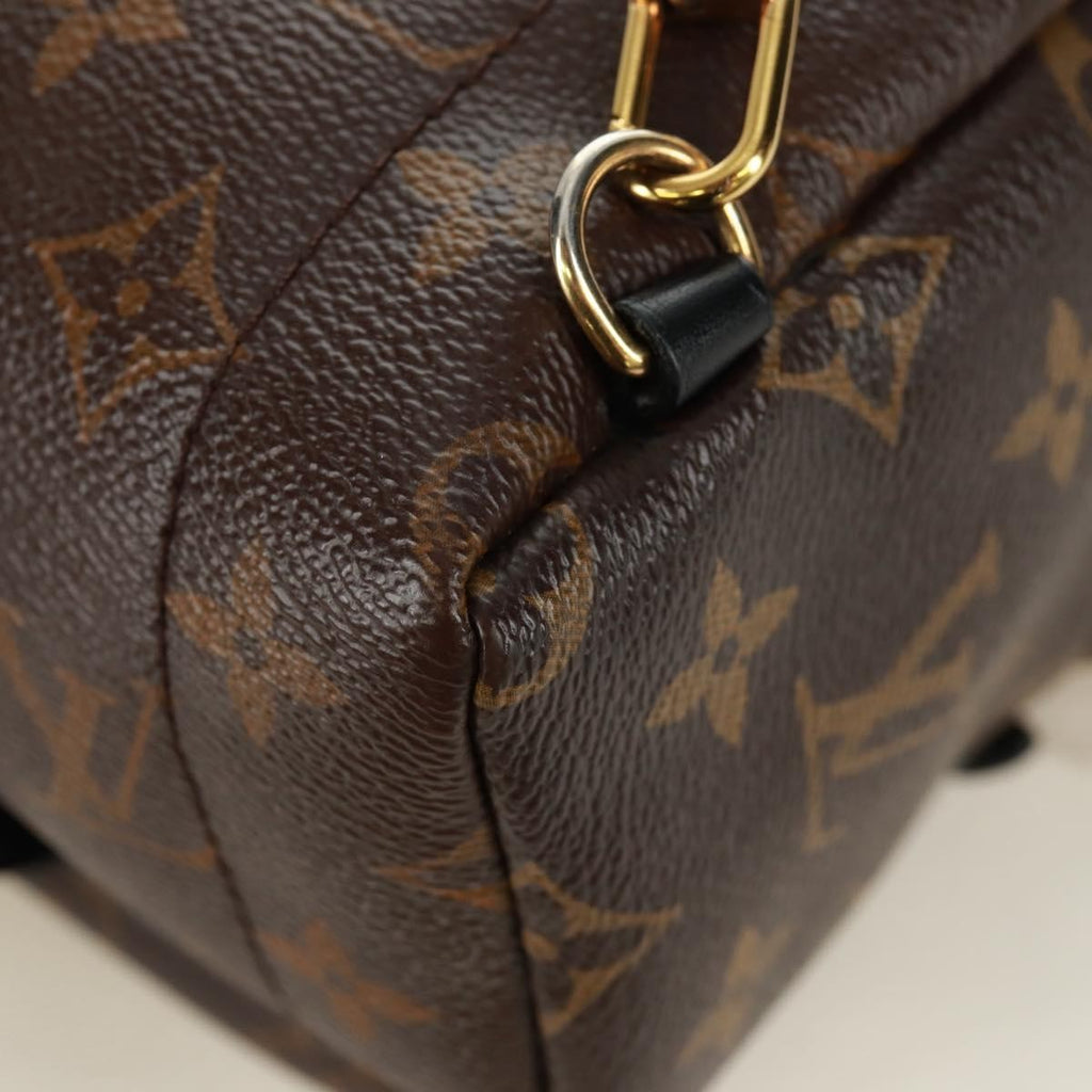 Louis Vuitton Palm Springs Backpack Limited Edition World Tour Monogram Canvas Brown Canvas Backpack Bag (Pre-Owned)