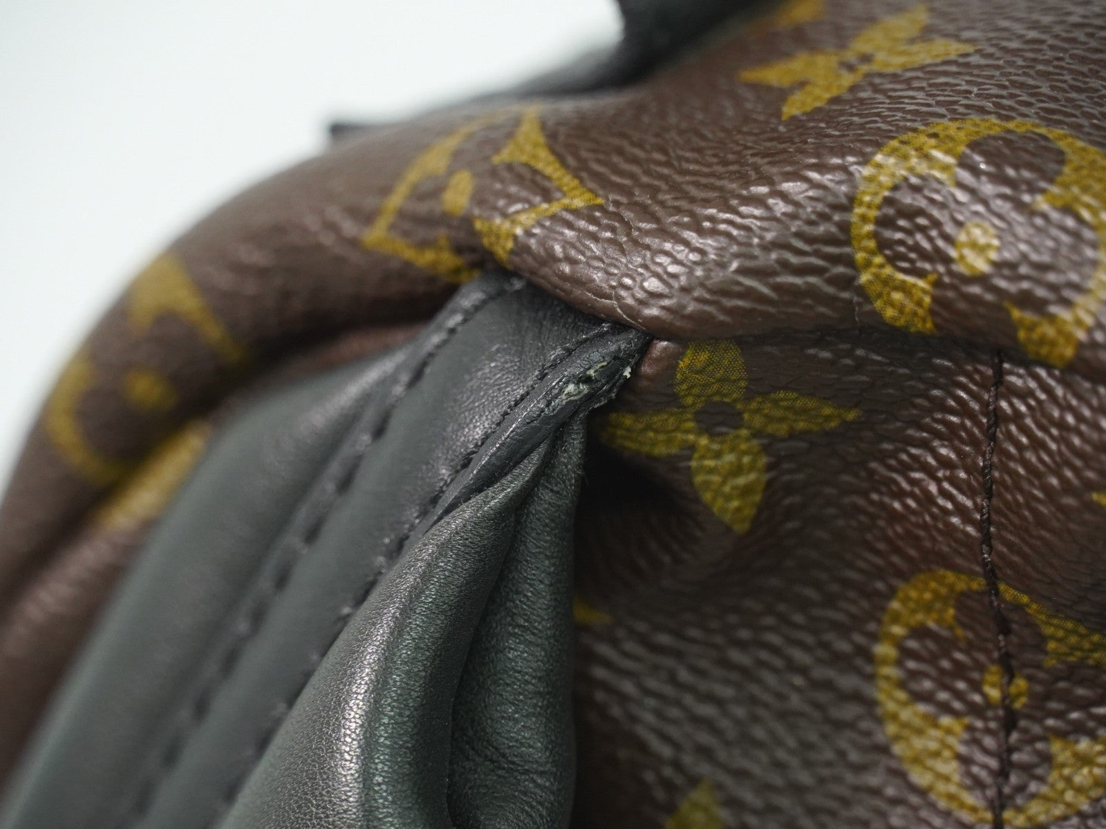 Louis Vuitton Palm Springs Backpack Monogram Canvas Brown Canvas Backpack Bag (Pre-Owned)