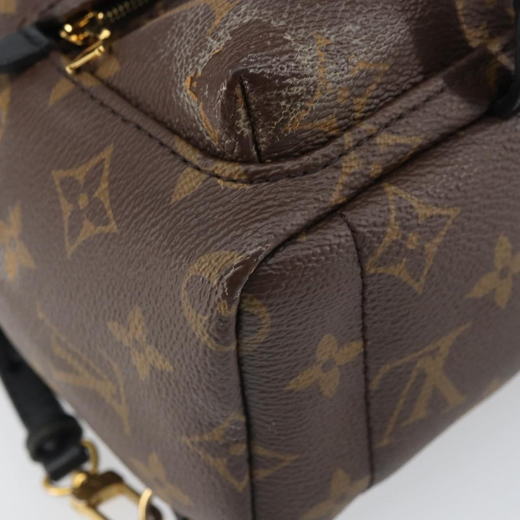 Louis Vuitton Palm Springs Backpack Monogram Canvas Brown Canvas Backpack Bag (Pre-Owned)