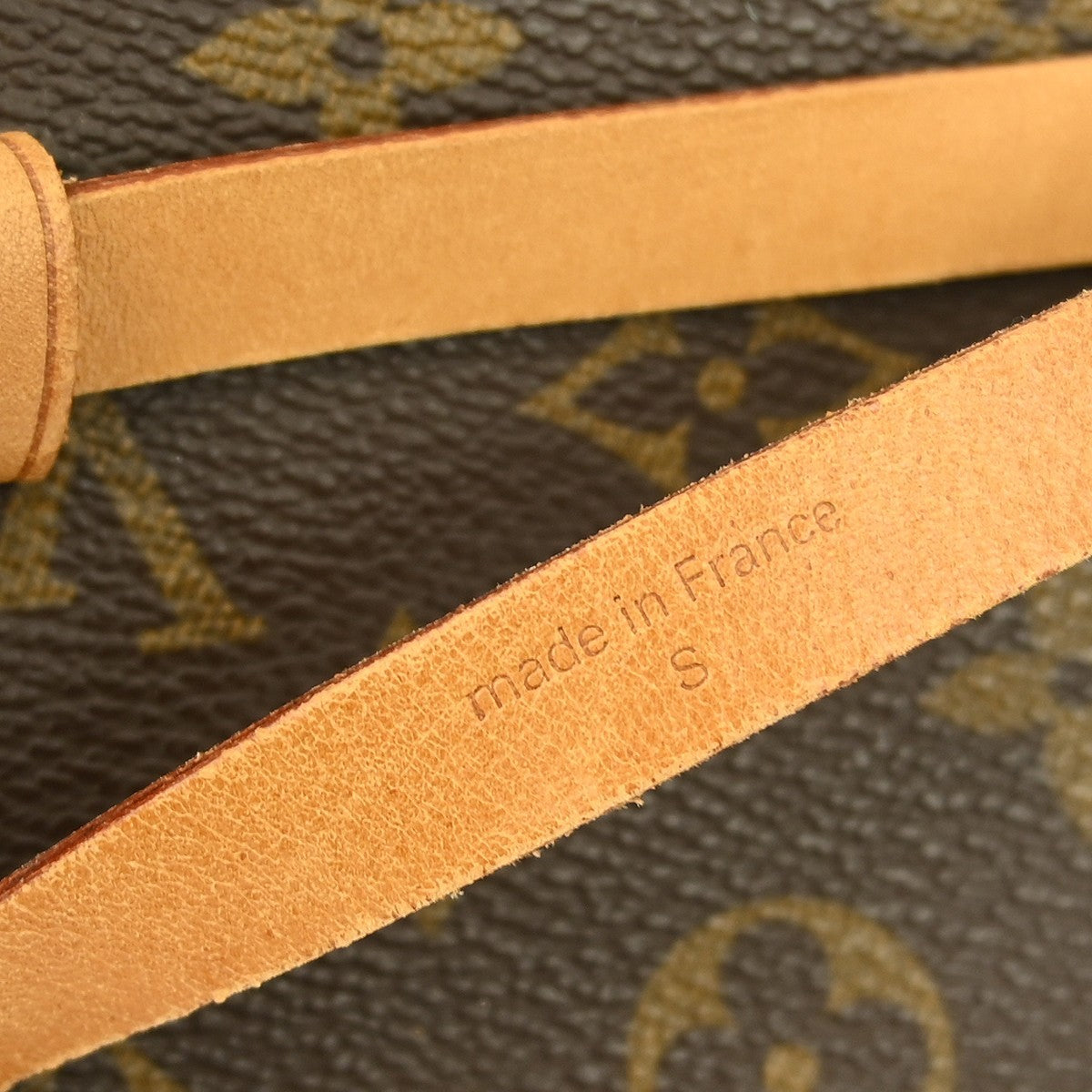 Louis Vuitton Florentine Waist Bag Monogram Canvas Brown Canvas Clutche & Pouche Bag (Pre-Owned)