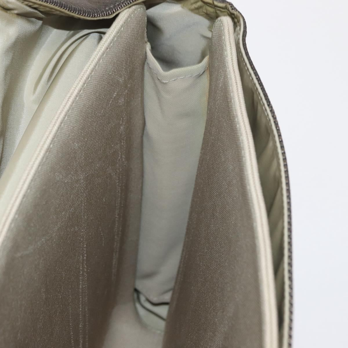 Louis Vuitton Terre Messenger Bag Damier Geant Canvas Brown Canvas Shoulder Bag Bag (Pre-Owned)