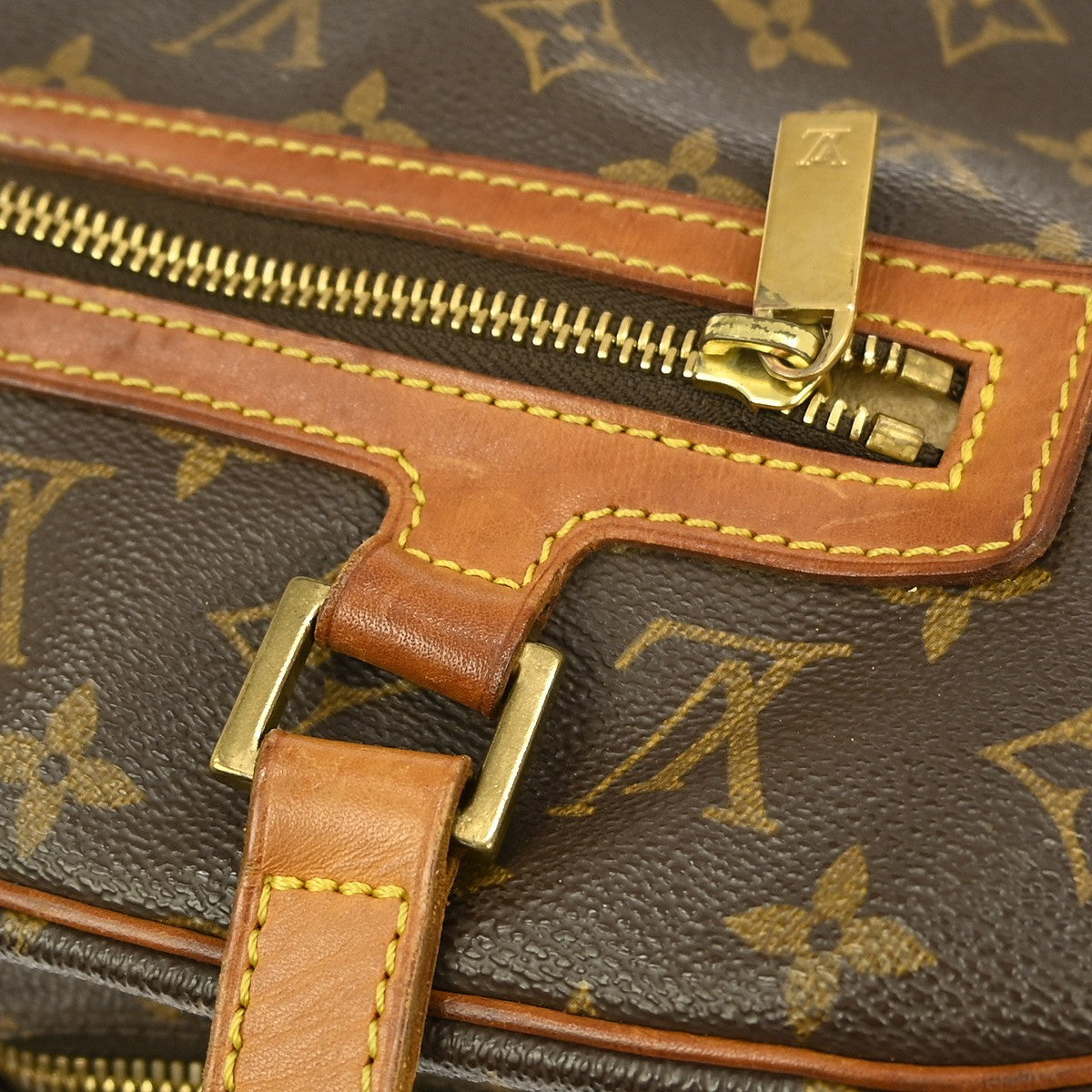 Louis Vuitton Cite Handbag Monogram Canvas Brown Canvas Clutche & Pouche Bag (Pre-Owned)