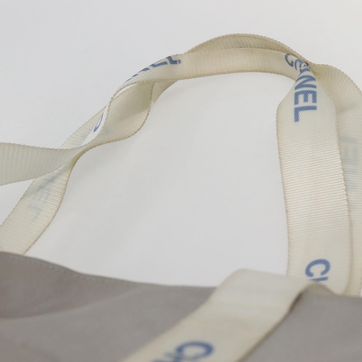 Chanel Sport Line Tote Bag Nylon Gray Nylon Tote Bag Bag (Pre-Owned)