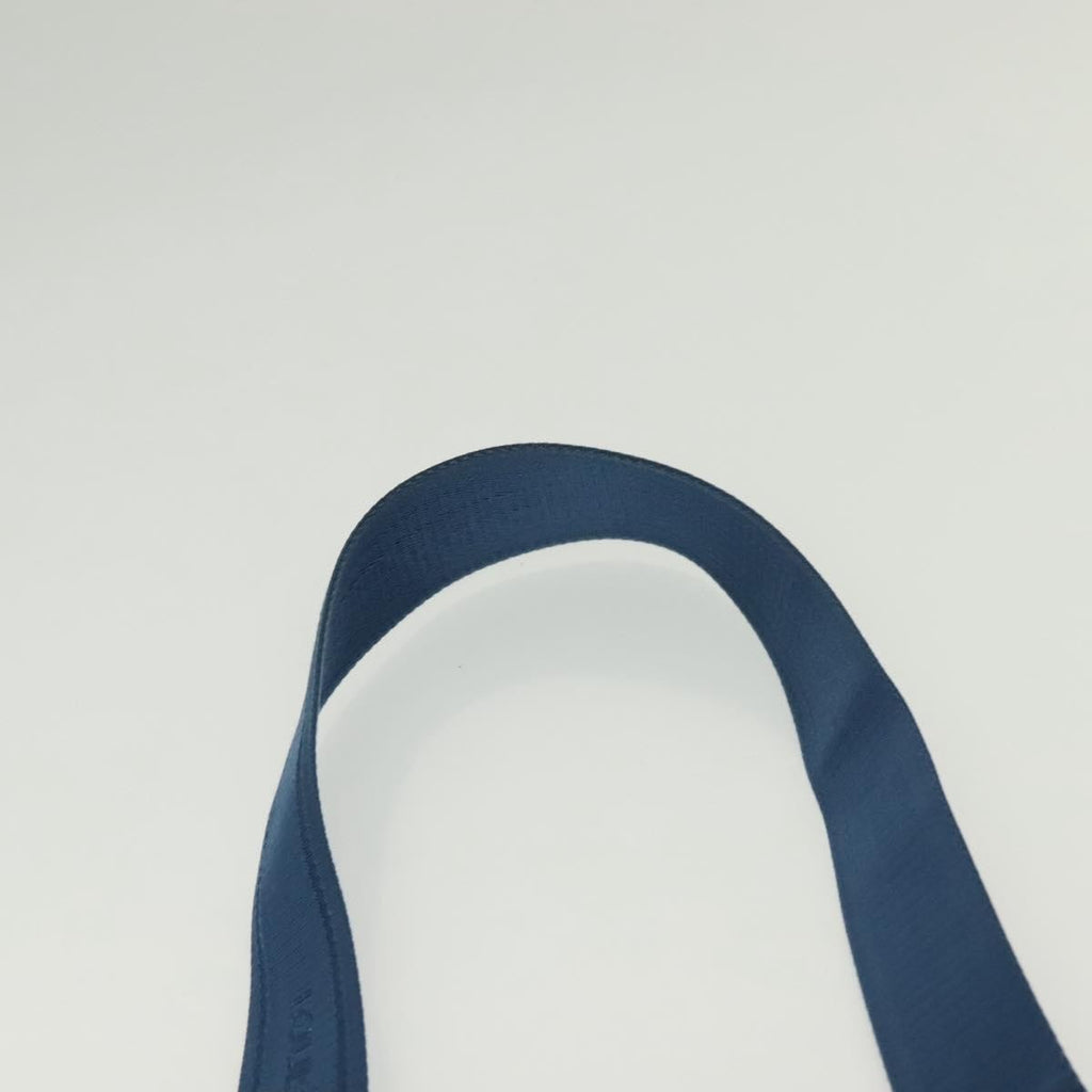 Louis Vuitton Ambler Bag Damier Infini Leather Blue Leather Shoulder Bag Bag (Pre-Owned)