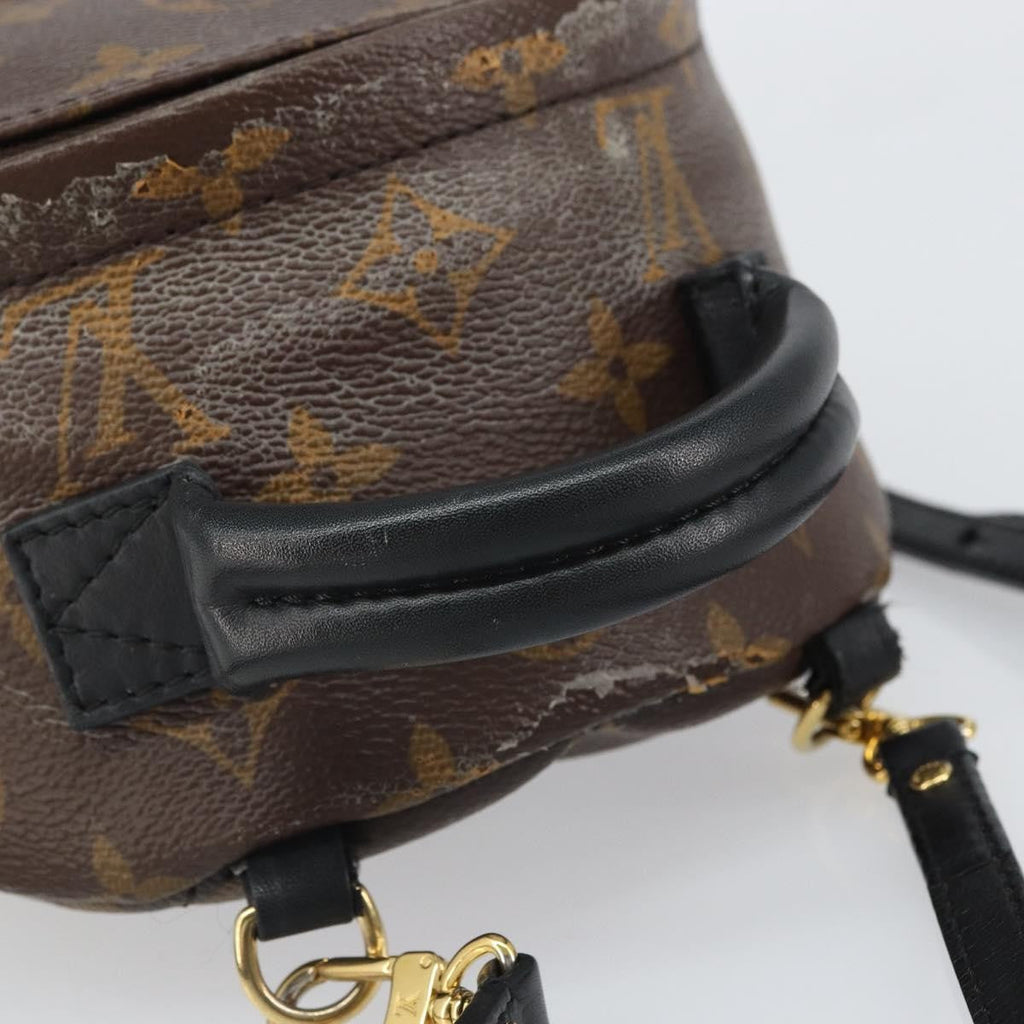 Louis Vuitton Palm Springs Backpack Monogram Canvas Brown Canvas Backpack Bag (Pre-Owned)