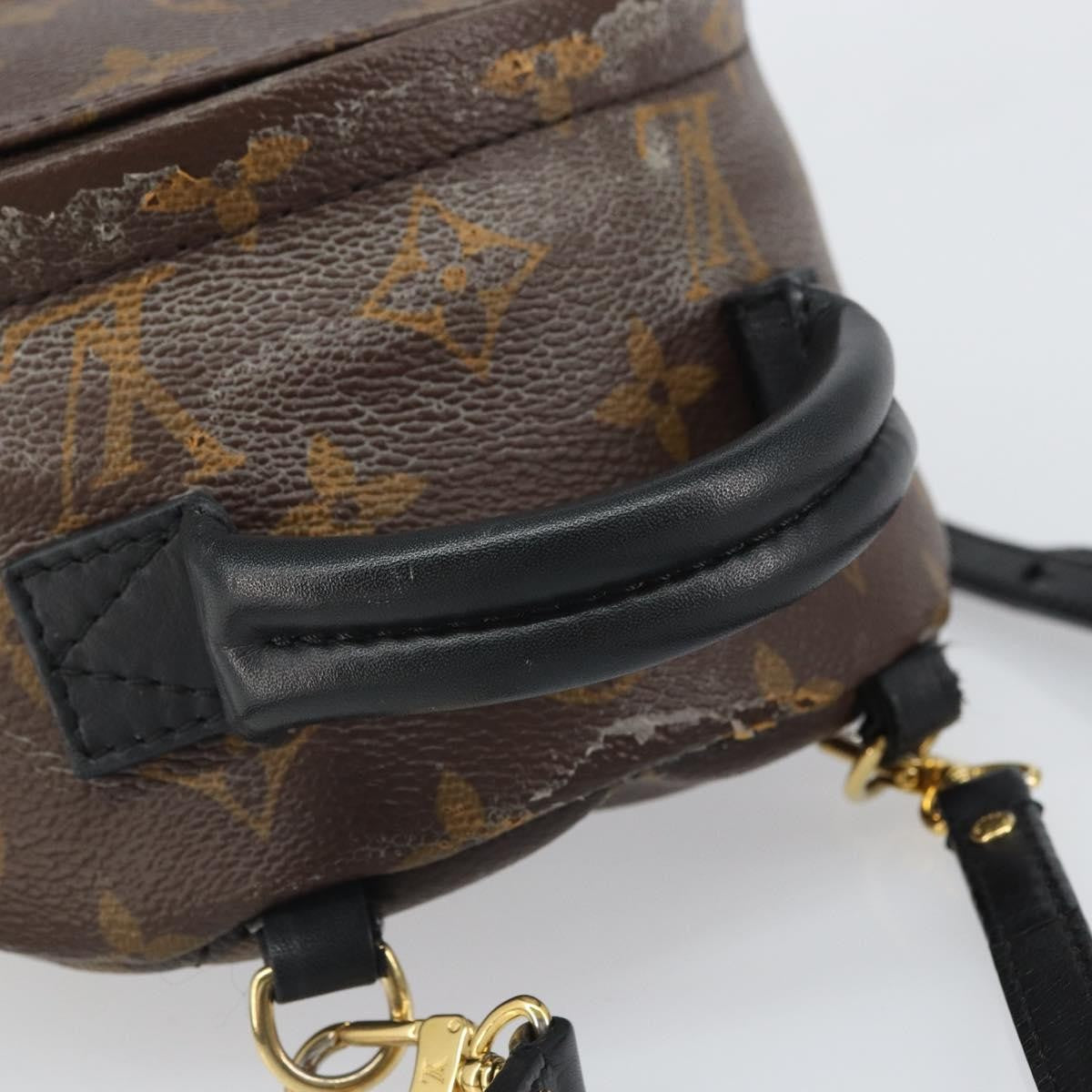 Louis Vuitton Palm Springs Backpack Monogram Canvas Brown Canvas Backpack Bag (Pre-Owned)